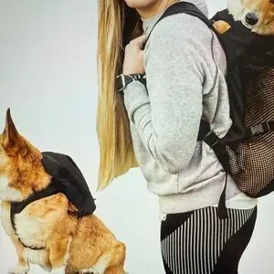 K9 Sport Sack Walk-On Packable Backpack Dog Carrier Black Large