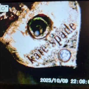 Kate Spade Gold Reptile Charm