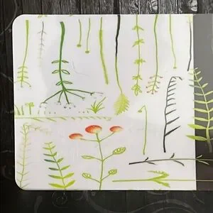 Laptop Skins — Saplings Design