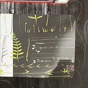 Laptop Skins — Saplings Design