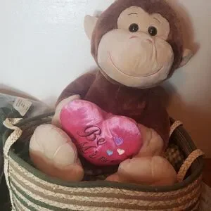 Large basket pet bed
