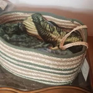 Large basket pet bed