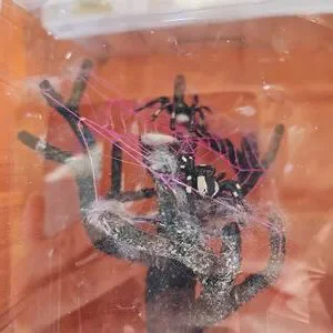 Lemax Spooky Town Spider Tree With Orange And Black