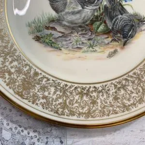 Lenox Limited Edition Bohem Birds Mockingbirds 1978 Dinner Plate