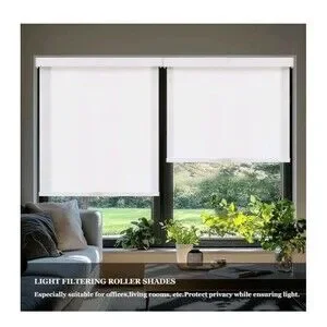 Light Filtering Roller Shades Cordless Blinds For Windows Free-Stop Shades W