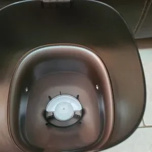 Like New Wopet Automatic Feeder
