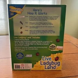 Live Ladybug Land Hatching Kit - Green And Yellow