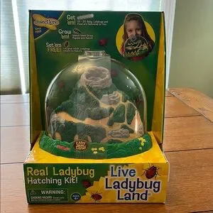 Live Ladybug Land Hatching Kit - Green and Yellow