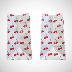 Louis Vuitton X Takashi Murakami Cherry Packaging 19x16x9" Large Shopping Bag
