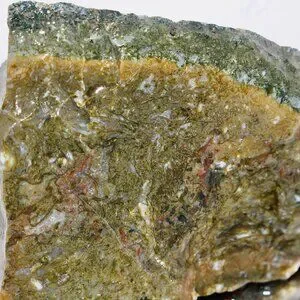 Maury Moss Agate Raw Natural Rough Mineral Stone Crystal Gemstone Old Stock 7oz