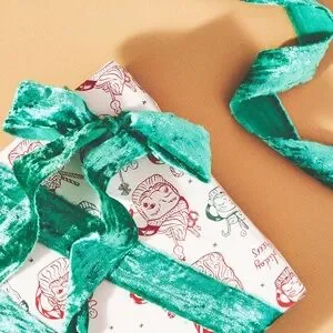 Mint Anthropologie Vintage Fray Velvet ribbon Spool