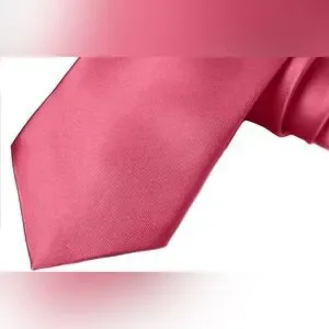 Moda Di Raza Clip On Woven Microfiber Satin Silk Finish Zipper Necktie