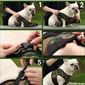 Mr. Peanut's Pink Pet Harness XS Dogs (2-4 Pounds)