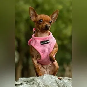 Mr. Peanut's Pink Pet Harness XS Dogs (2-4 pounds)