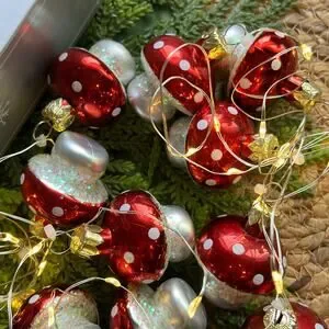 Mushroom Dewdrop Lights LED Red Warm White String Timer Battery Operated