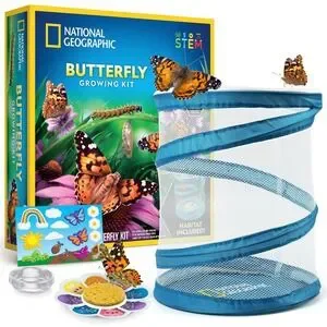 National Geographic Butterfly Growing Kit Feed & Grow Real Caterpillars Habitat