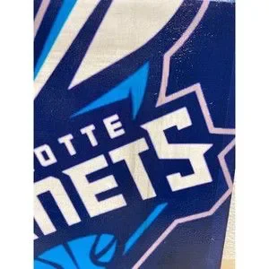 NBA Charlotte Hornets Framed Logo Sign Painting Wall Decor