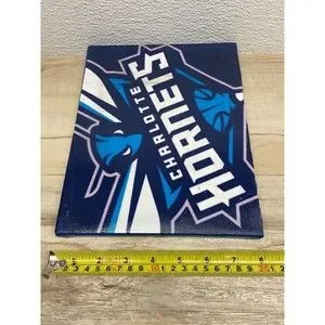 NBA Charlotte Hornets Framed Logo Sign Painting Wall Decor