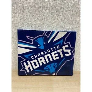NBA Charlotte Hornets Framed Logo Sign Painting Wall Decor
