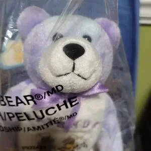 New 2004 Holy Bears Amity The Friendship Bear Beanie Plush Christian Bible Bear