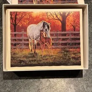 New Bookmark Notecards Quiet Time Horses Cummings