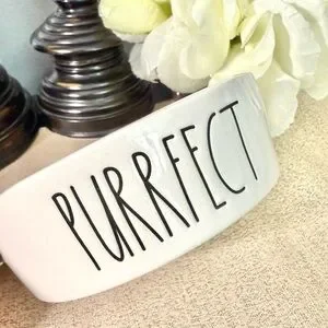 New Rae Dunn PURRFECT Ceramic Pet Bowl