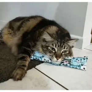 NEW Two Pack Of Cute Cartoon Large Catnip Pillow Cat Toys —‎ NWT