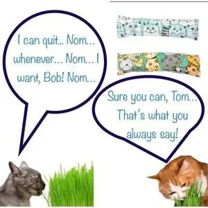 NEW Two Pack Of Cute Cartoon Large Catnip Pillow Cat Toys —‎ NWT
