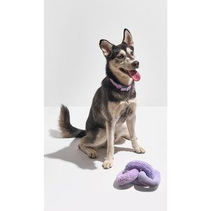 New Wild One Chew Chain Plush Toy In Lilac Purple Dog