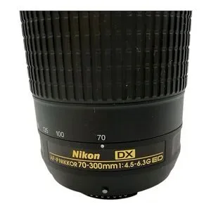 Nikon AF-P DX NIKKOR 70-300mm F4.5-6.3 G ED Lens Tested Works