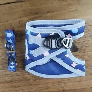 NOCAESON BLUE HARNESS WITH MATCHING 6 FT LEASH SIZE MEDIUM NEW WITH TAGS