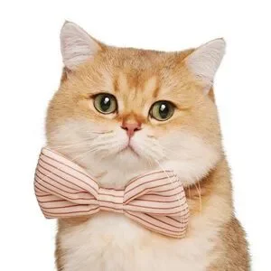 NWT Cat/Dog Bowtie Set - Stripes/ Checkerboard
