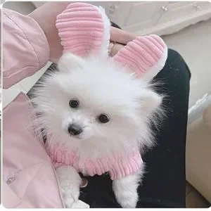 NWT dog bunny costume Dog Cat Ribbed pink with white fleece Halloween costume