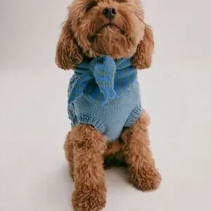 NWT FP X French Knot Cable Knit Dog Sweater