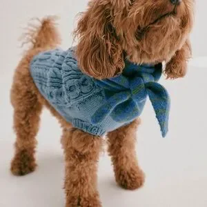 NWT FP X French Knot Cable Knit Dog Sweater