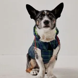 NWT Free People X Ware Of The Dog Green And Blue Dog Jacket