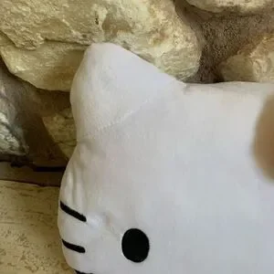 Nwt Hello Kitty face Pillow