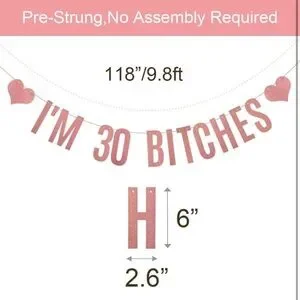 NWT I'M 30 BITCHES Banner 30th Birthday Party Decorations Rose Gold Glitter Pink