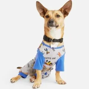 NWT Youly Skater Graphic Dog Pajamas Blue Grey XS