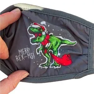 NWT youth Christmas cloth face mask Dinosaurs plaid 3 face madk per package