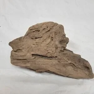 Ohio River Driftwood 12"x8"x4"
