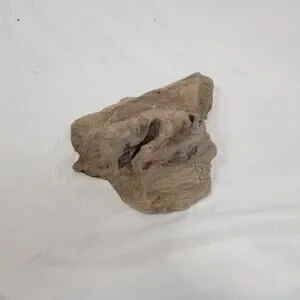 Ohio River Driftwood 12"x8"x4"
