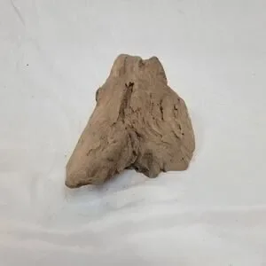 Ohio River Driftwood 12"x8"x4"