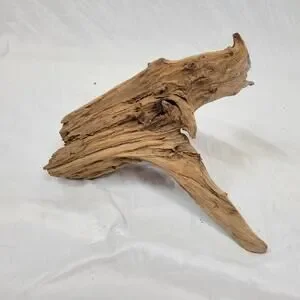Ohio River Driftwood 13"x12.5"x7.5"