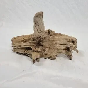 Ohio River Driftwood 13"x12.5"x7.5"