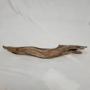 Ohio River Driftwood 22"x4"x4.5"