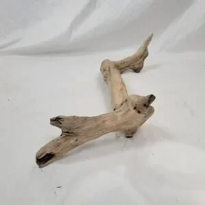 Ohio River Driftwood 26"x16"x5"