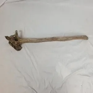 Ohio River Driftwood 37"x10.5"x9"