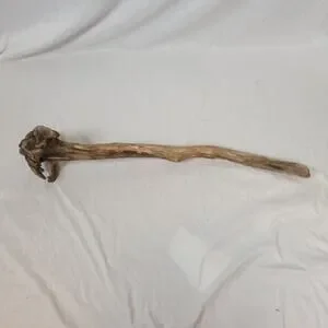 Ohio River Driftwood 37"x10.5"x9"