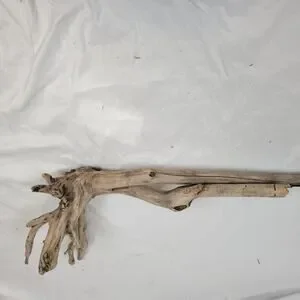 Ohio River Driftwood 42"x15"x12"